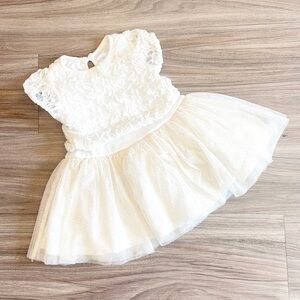 Nannette Baby cream floral lace overlay tulle baby girl dress
